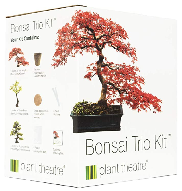 Kit per coltivazione 3 bonsai